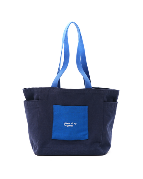 Exploratory Projects TOTE - BLUE